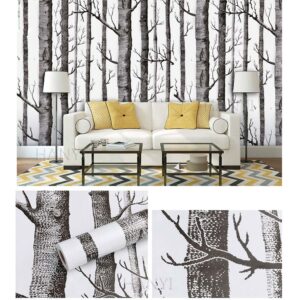 Papel Adhesivo 45 Cm X 10 Mts VA-16887 Mate
