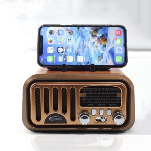 Radio Antiguo Vintage Yuegan Fm-USB Mp3