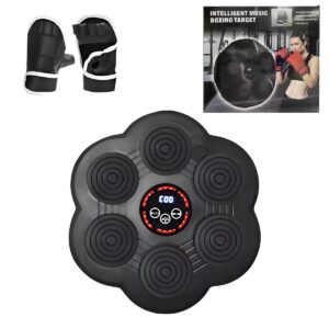 Set De Boxeo Para Pared De 40 x 40 cm