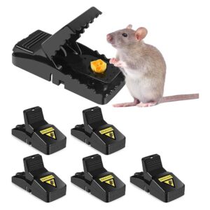 Trampas Para Ratón X5 Unidades